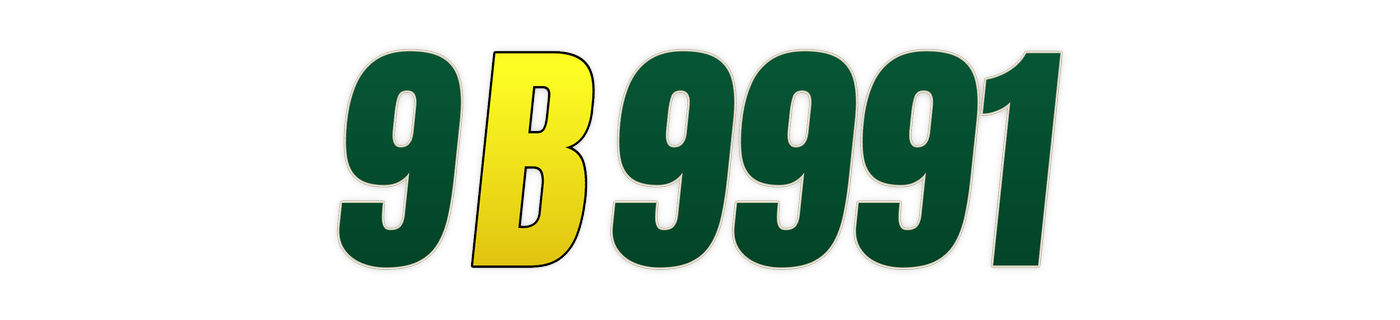9b9991